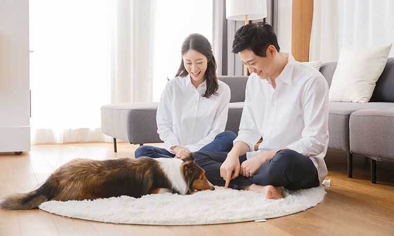 The number of families living with pets is rapidly increasing.</br>Mats that are safe for pets